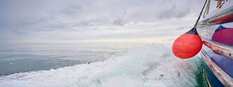 Hyundai und Healthy Seas verlängern Partnerschaft um weiteres Jahr